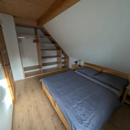 Koci